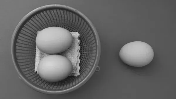 Como diversificar sua carteira de investimentos para equilibrar risco e recompensa